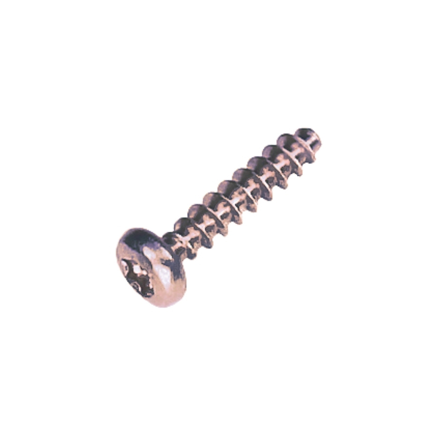 Tornillo Pt 40X18 T20 5205223-01