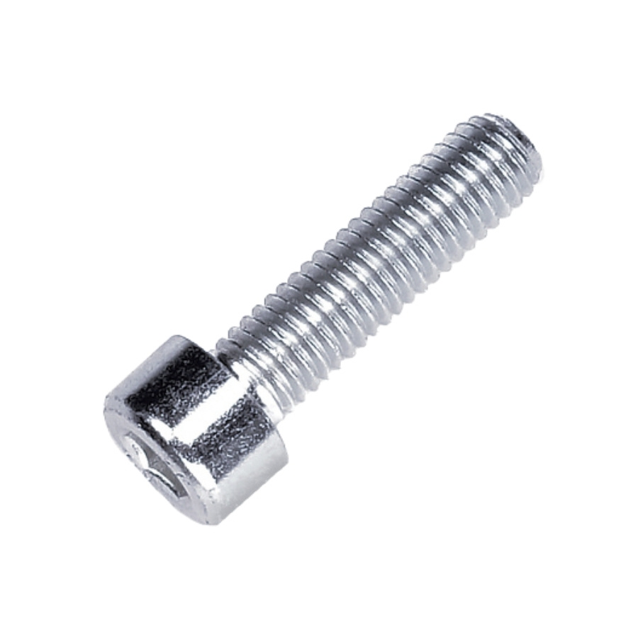 Tornillo Cabeza Queso M8X30 5205404-01