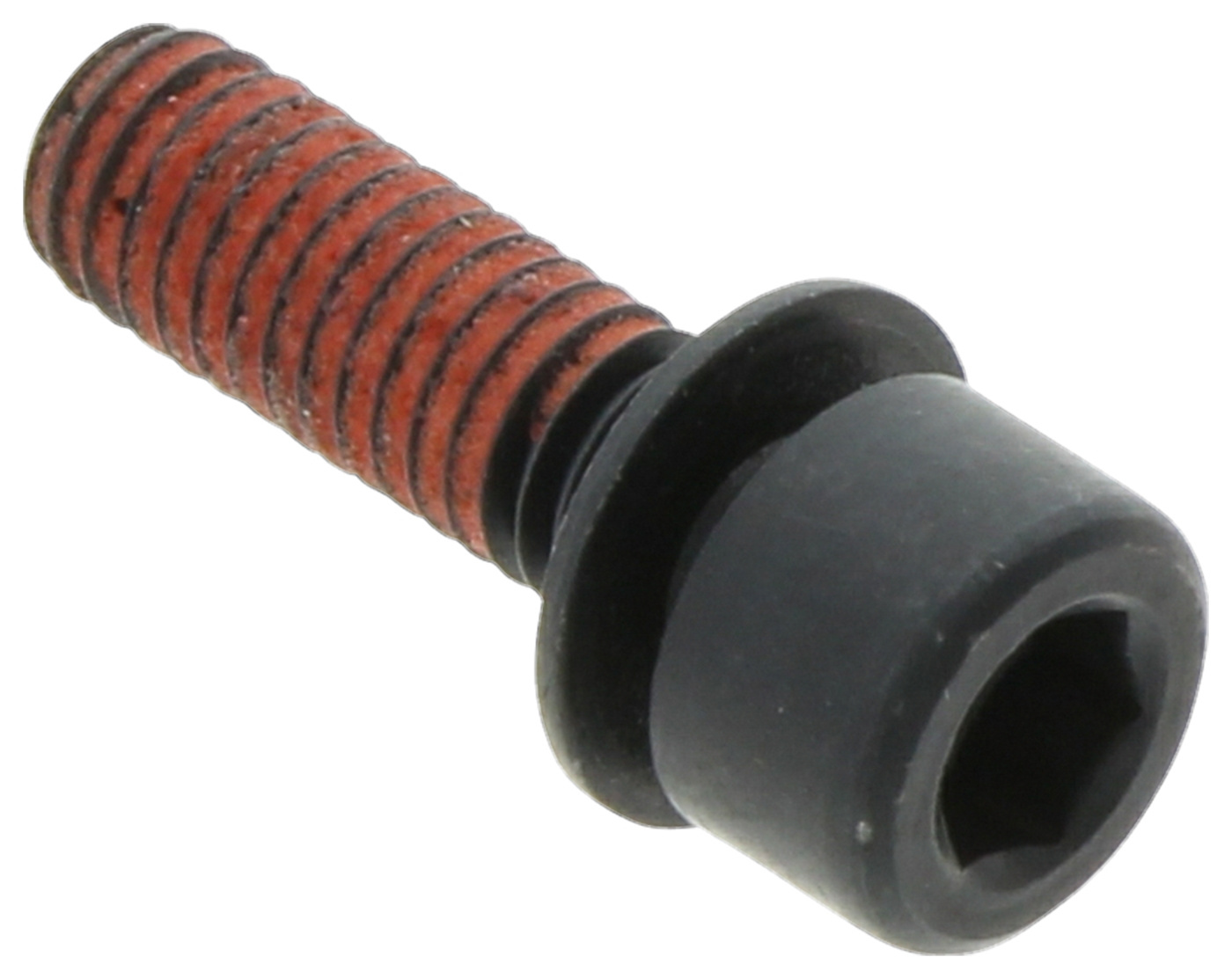 Tornillo