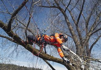Arnés de escalada Husqvarna arborist