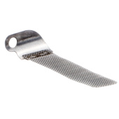 Parachispas Parachispas