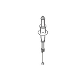 COLUMNA COLUMNA