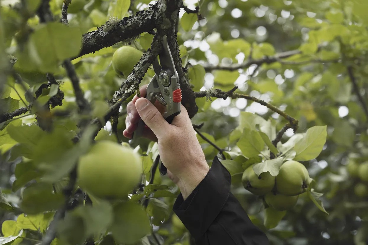 Husqvarna podadera Large