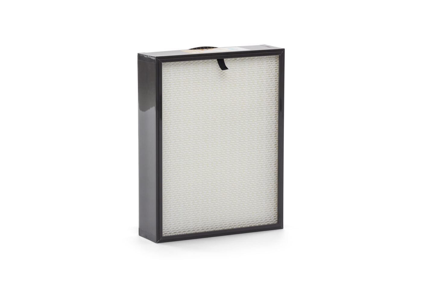 Filtro esencial H13
