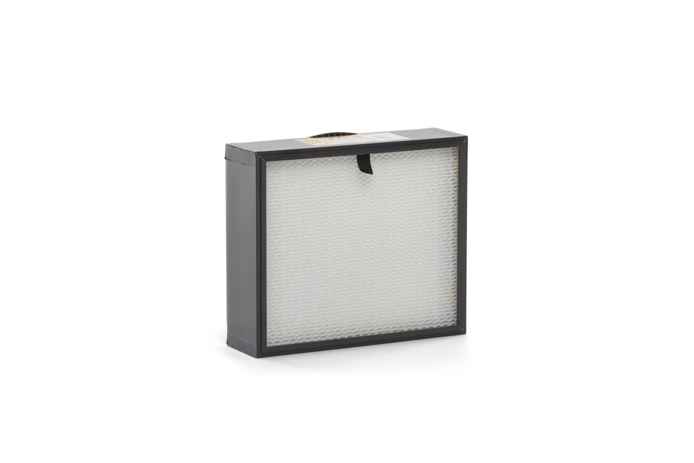 Filtro esencial H13
