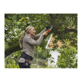 Cinturón de herramientas, jardinería. Cinturón de herramientas, jardinería.