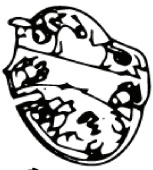 Caja De Interruptores Inferior (Euro 5746268-01 Caja De Interruptores Inferior (Euro 5746268-01