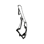 Cono 5748107-02 Cono 5748107-02