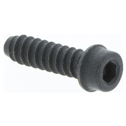 Tornillo Itxscft 5762756-01