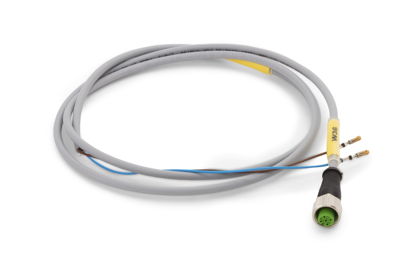 Cable conjunto W36 sensor de temperatura