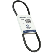 Cinturón 5893246-01 Cinturón 5893246-01