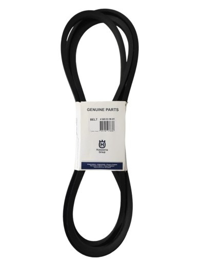 Cinturón 5895390-01