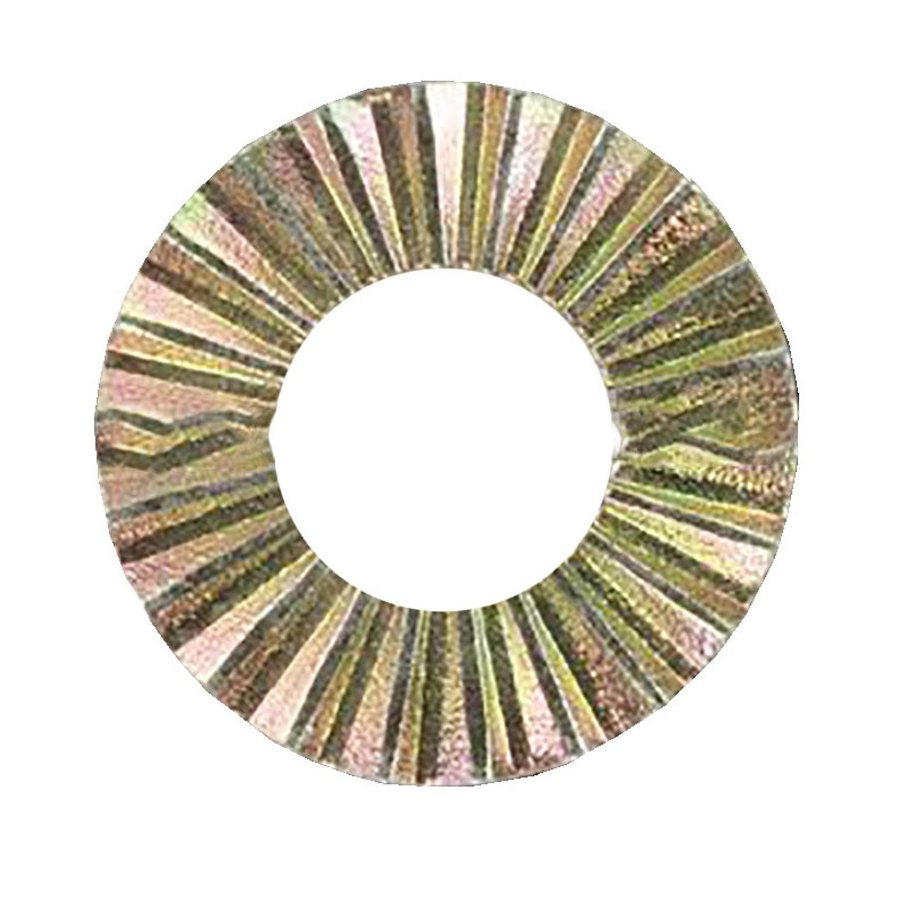 Arandela dentada de seguridad Ex