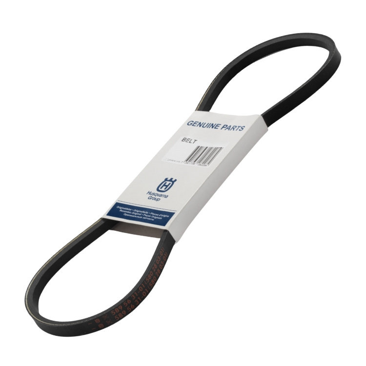 Cinturón 5970489-01