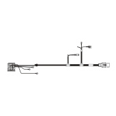 Conjunto de cableado del motor y sensores P Conjunto de cableado del motor y sensores P