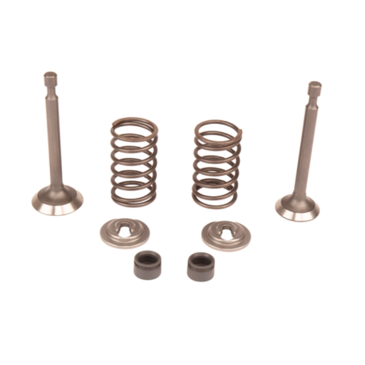 Kit de válvula 5993490-42