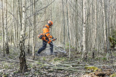 Husqvarna 545FXT Paquete Forestal Husqvarna 545FXT Paquete Forestal