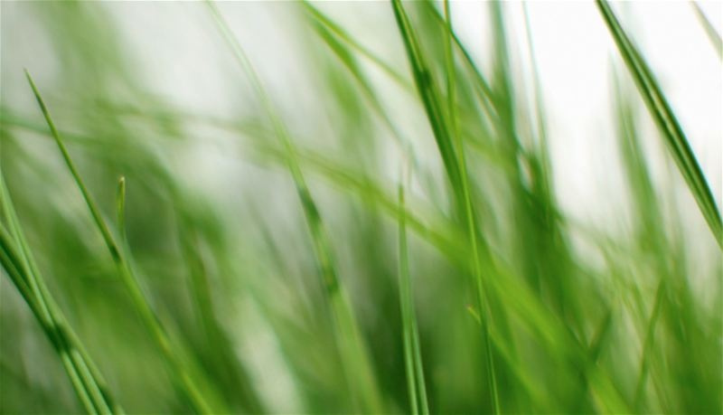 Klippo Pro 21 SH Classic Cortacéspedes