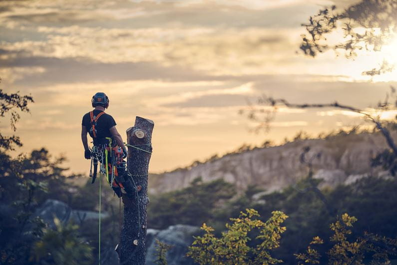 Husqvarna T540 XP® Mark III Motosierra