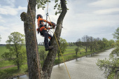 Husqvarna T540 XP® Mark III Motosierra Husqvarna T540 XP® Mark III Motosierra