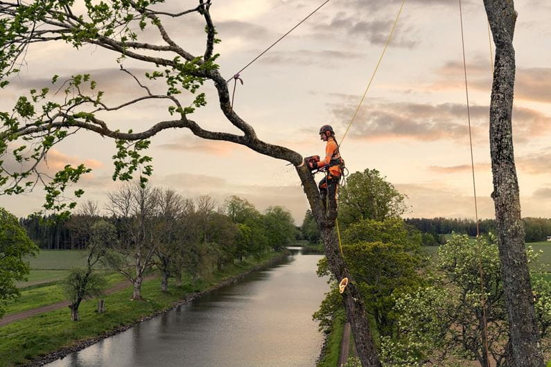 Husqvarna T540 XP® Mark III Motosierra