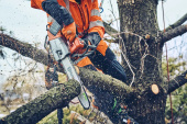 Husqvarna T542i XP® Husqvarna T542i XP®