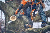 Husqvarna T542i XP® Husqvarna T542i XP®