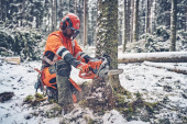 Husqvarna 560 XPG Mark II Motosierra Husqvarna 560 XPG Mark II Motosierra