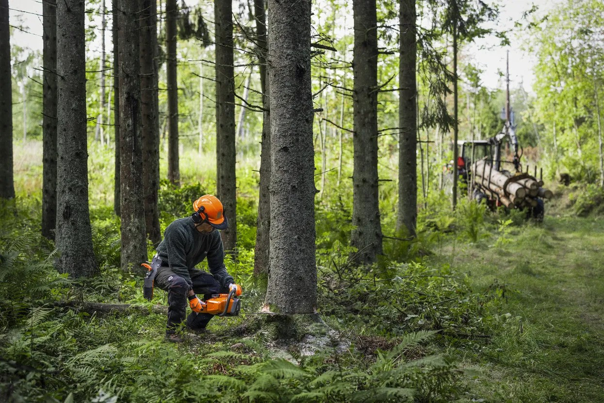 Husqvarna 450X Motosierra