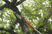 Podadora DP110 FLXi Podadora DP110 FLXi