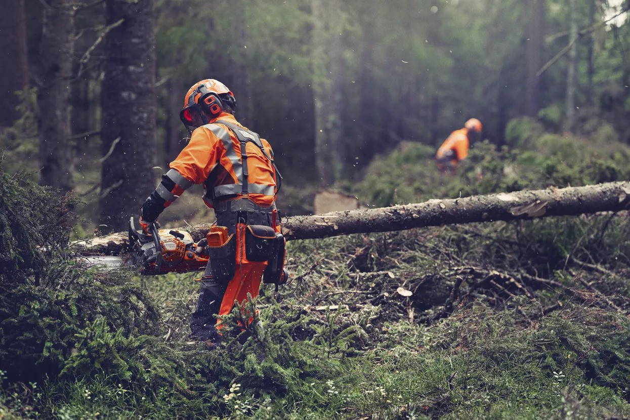 Husqvarna 564 XP G Fuel Inject Pack Profesional