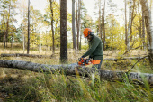 Husqvarna 435i Batería motosierra Husqvarna 435i Batería motosierra
